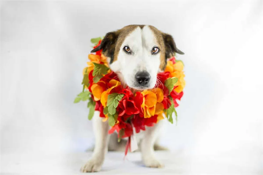 2026 GMC Hummer EV 2X Review: Less Power, More Fun?