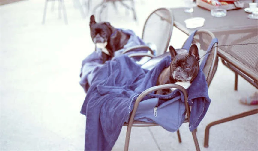 2026 Honda Passport Price & Features: What's New This Year?